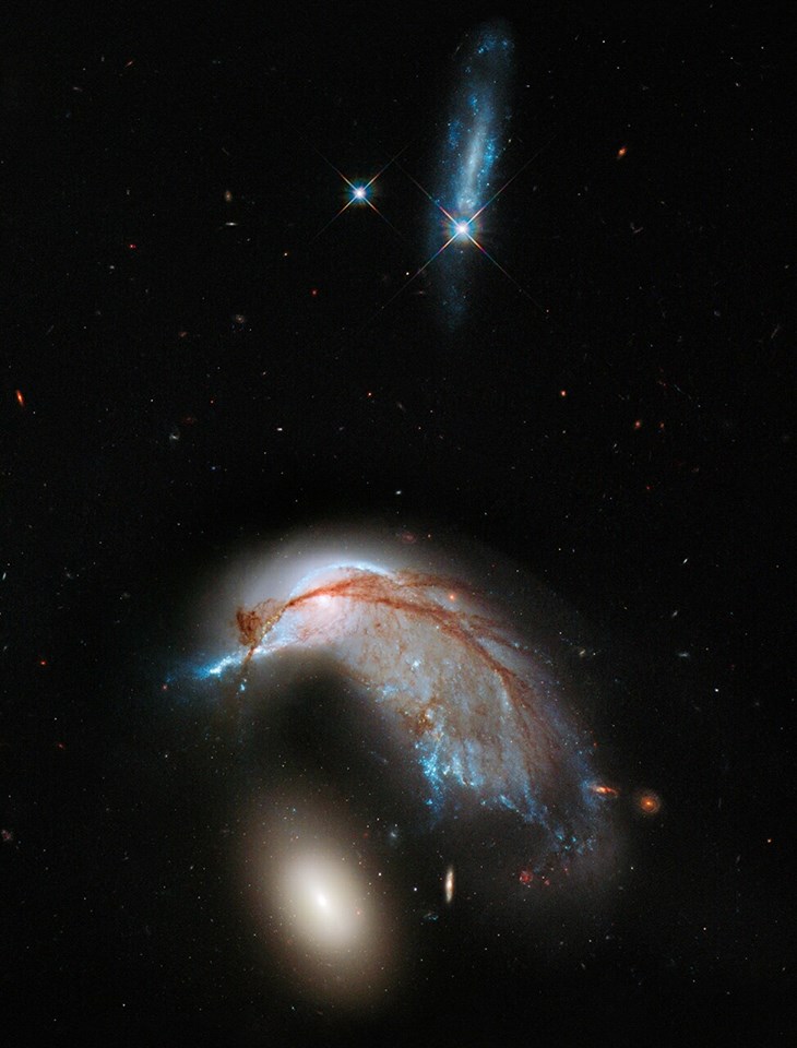 Arp 142 è il nome dato alla coppia di galassie interagenti NGC 2936 e NGC 2937. Esse si trovano a circa 320 milioni di anni luce di distanza nella costellazione australe dell'Idra e mostrano i segni caratteristici dell'interazione tra galassie: deformazione e presenza di lunghe code mareali in cui vengono intensificati i processi di formazione stellare. Fonte: Hubble Space Telescope