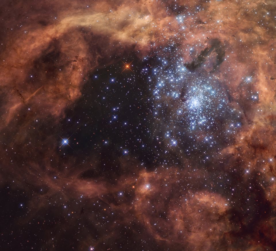 Nebulosa Tarantola
