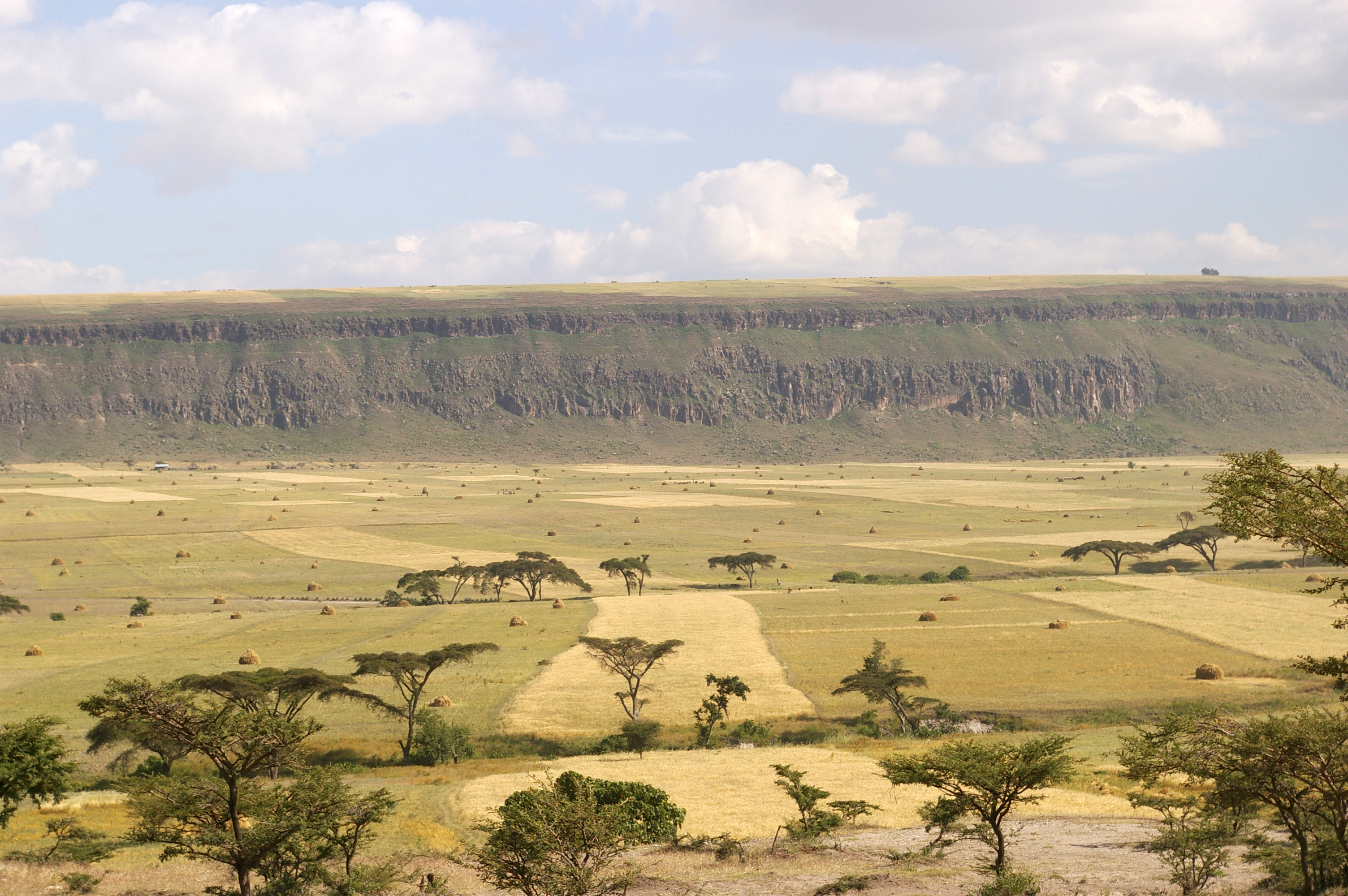 scarpata rift valley golja (etiopia)